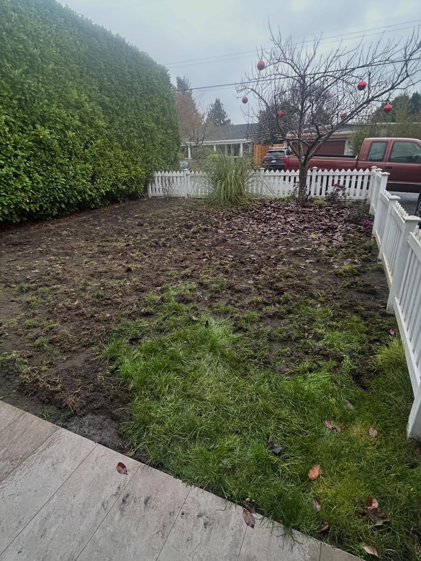 Before Tsawwassen Backyard Transformation