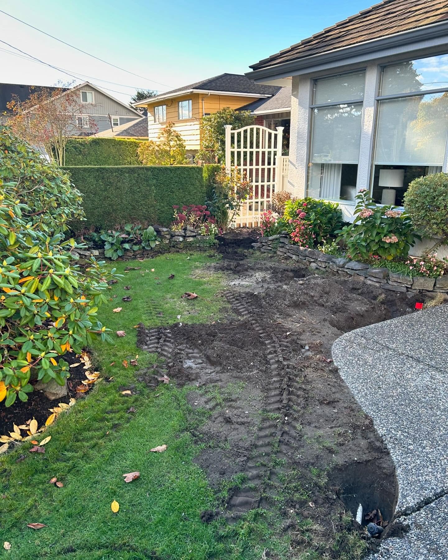 Before Ladner Lush Lawn Bed